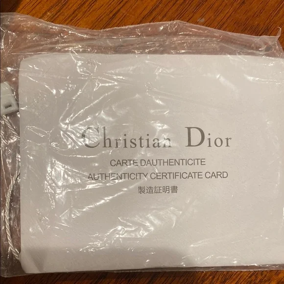 Dior White Saddle Shoulder Bag with Gold Hardware - Picture 2 of 9